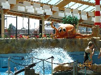 IMG_3284.JPG, 19kB
